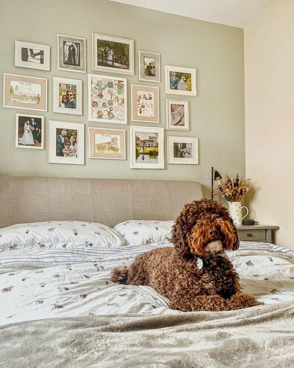Light grey Lucia fabric ottoman bed, styled against a feature gallery wall with a chocolate cockapoo relaxing on the bed.