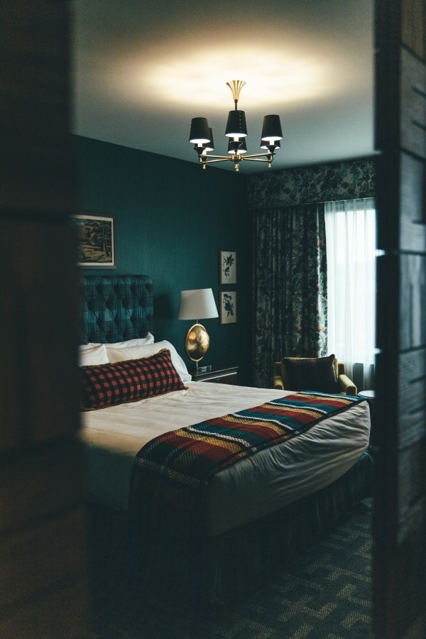 image of an earthy bedroom with dark green walls, brown bedding and dark carpet.