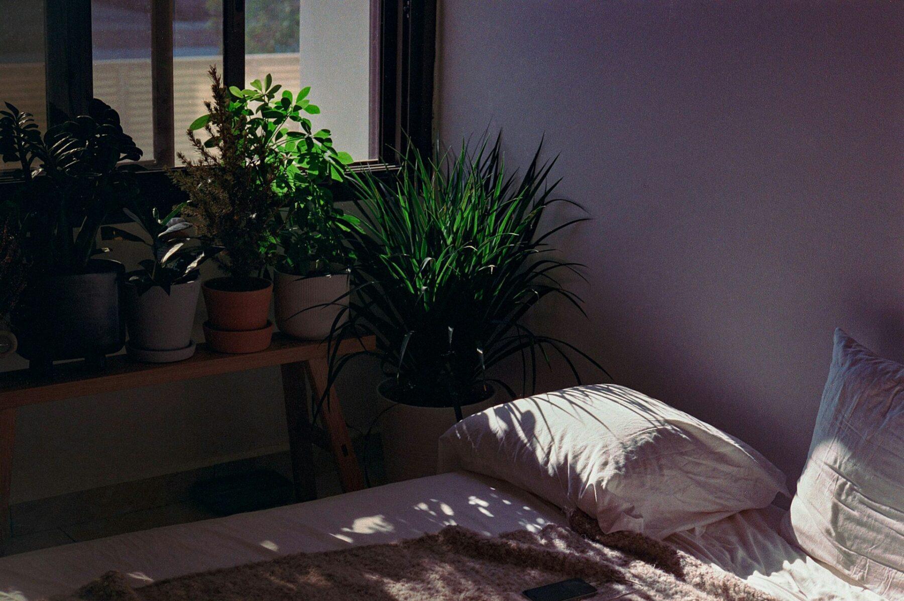 Eco bedroom