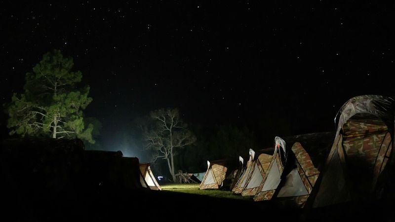 Army tents