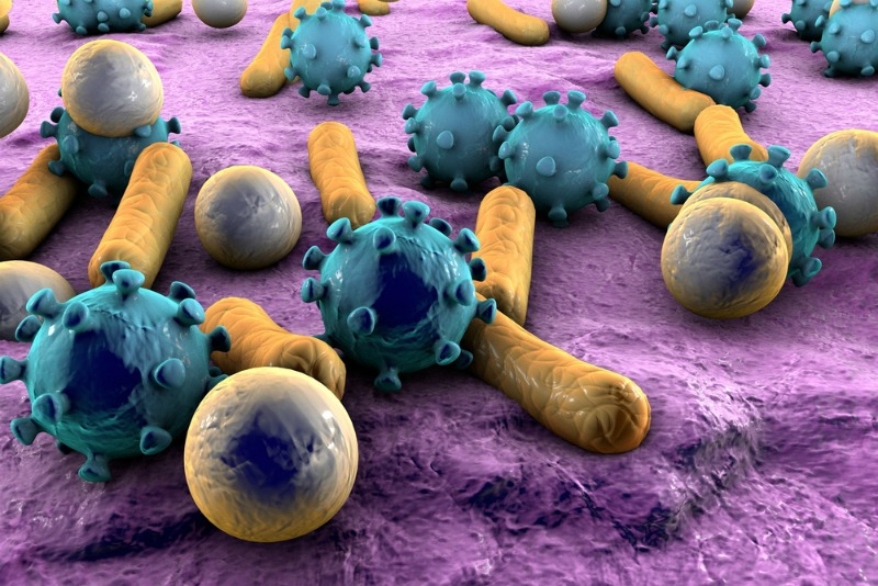An image of bacteria
