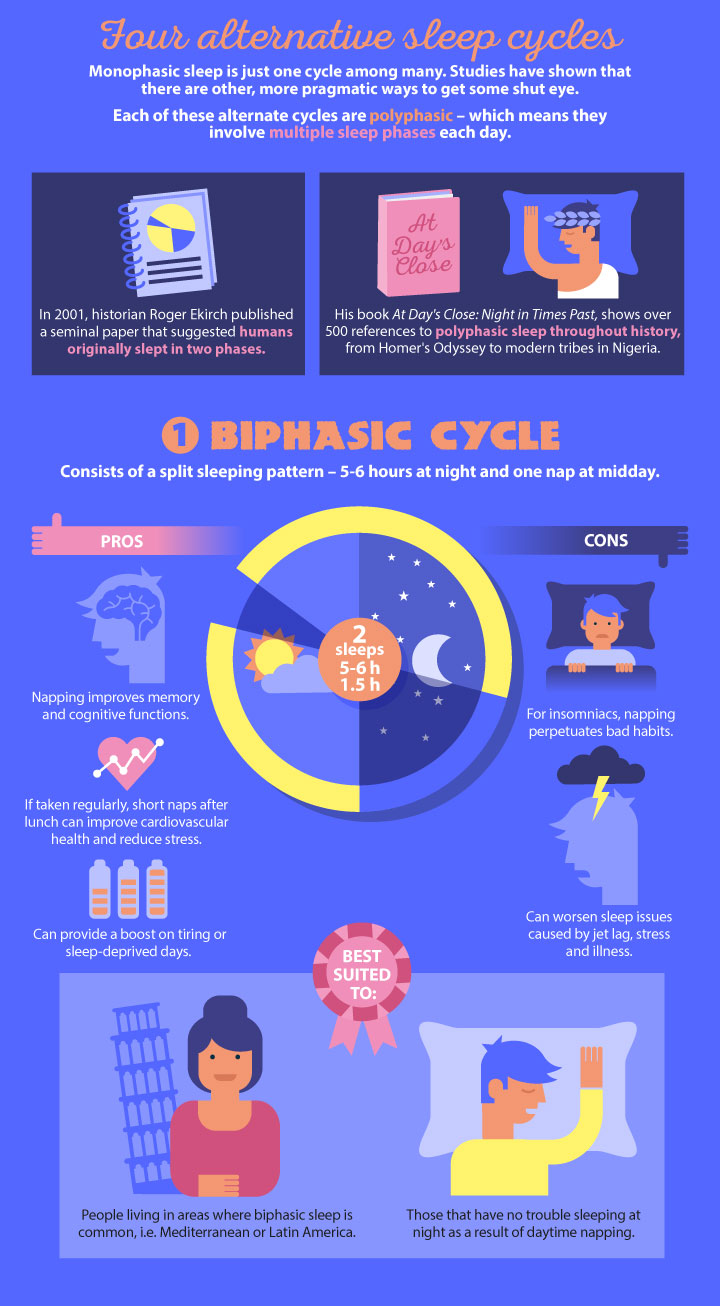 The Biphasic Sleep Cycle. Read more on The Sleep Matters Club.