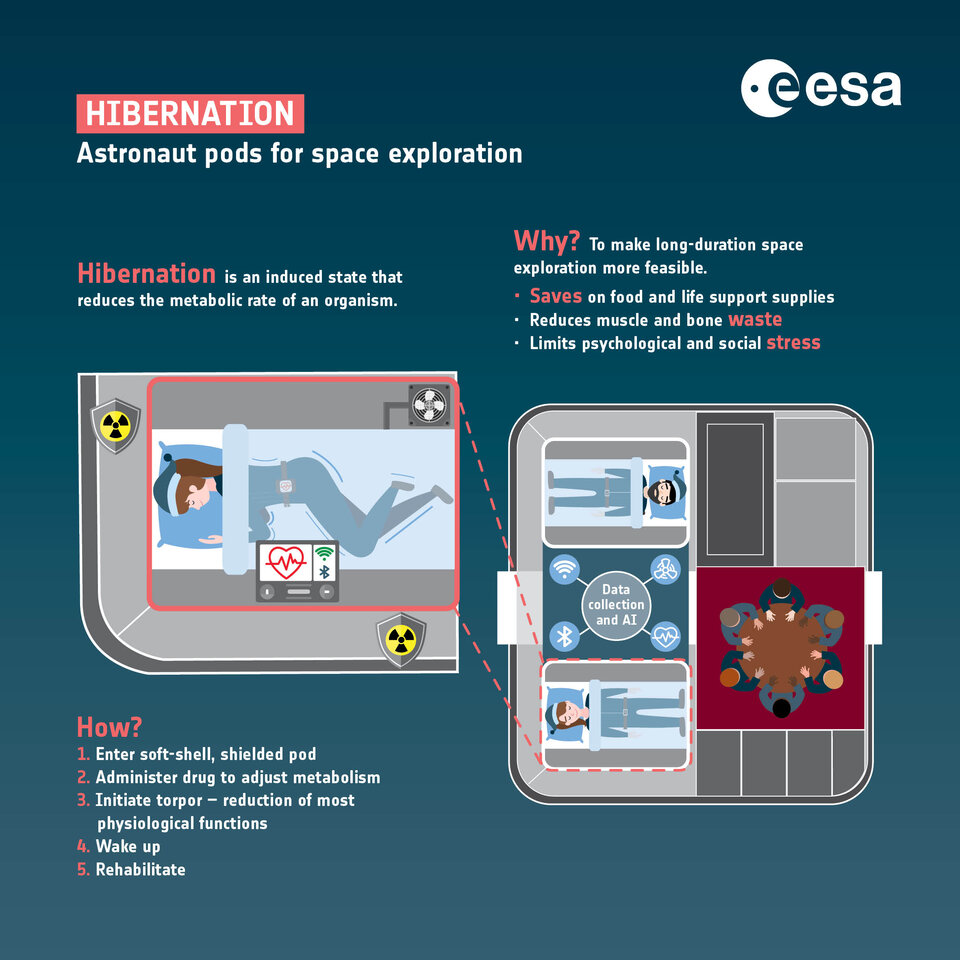 A diagram showing the ESA's proposal for human hibernation while in space.
