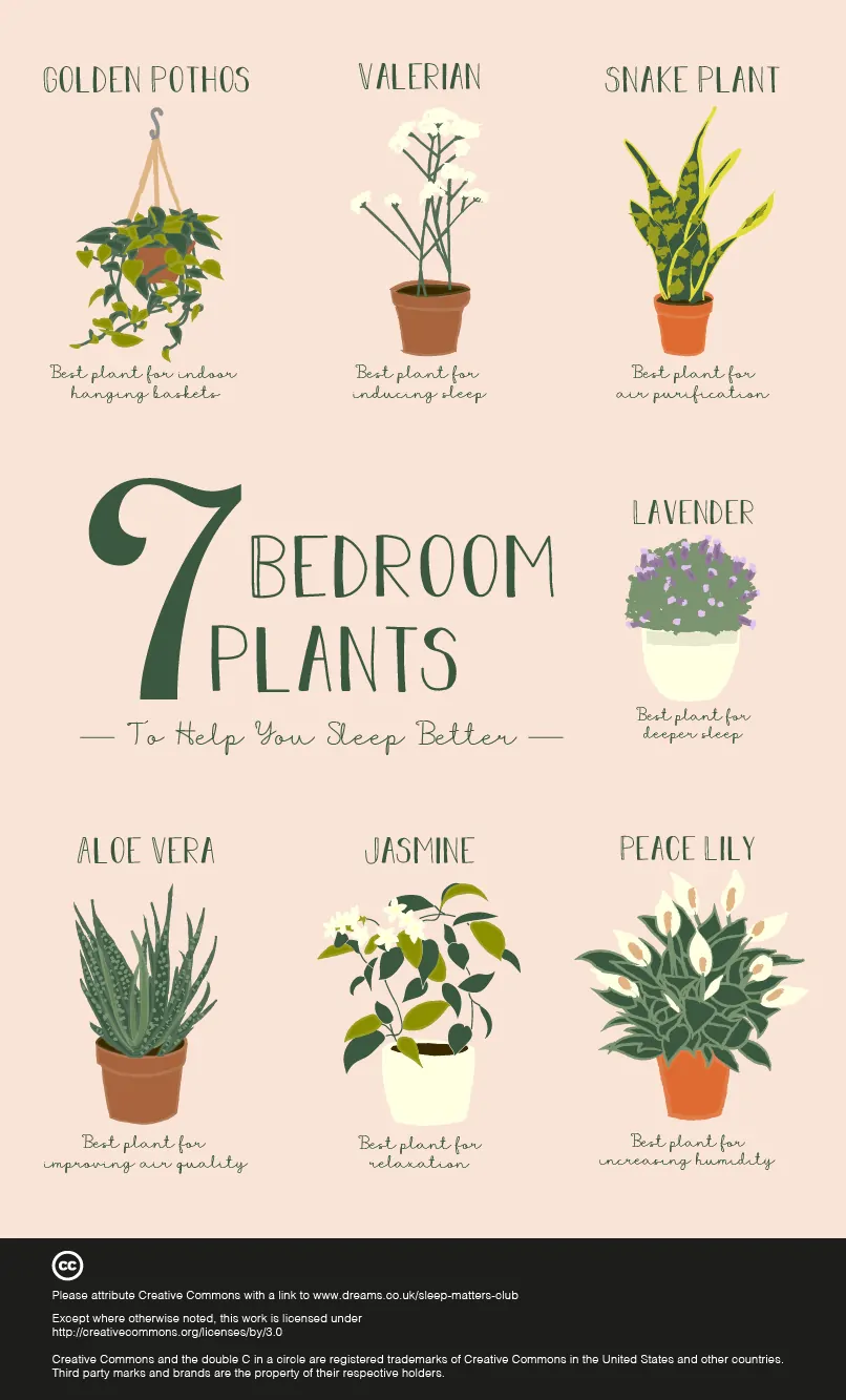 Benefits of indoor plants in bedroom
