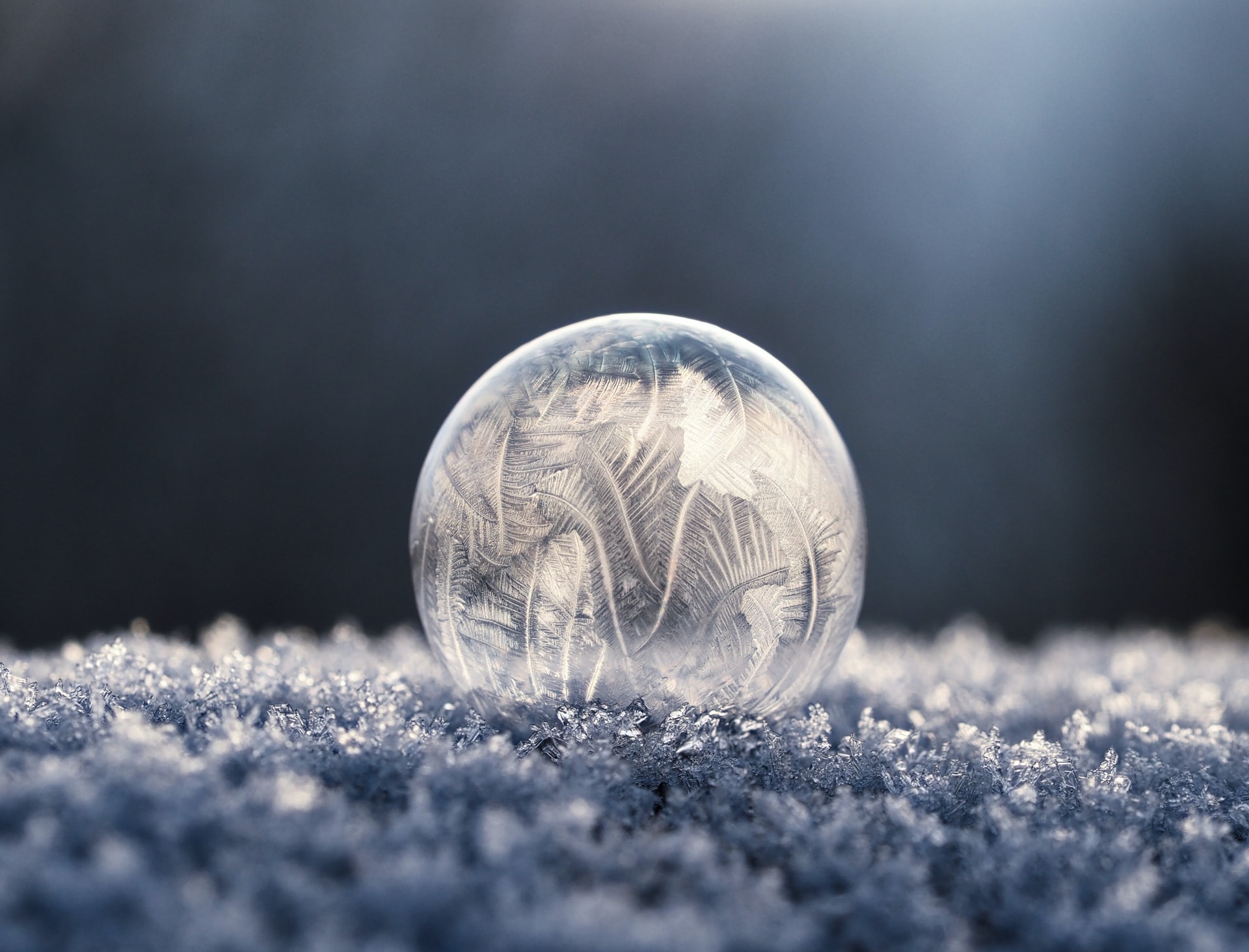 What Do Dreams of Snow Mean? Sleep Matters Club