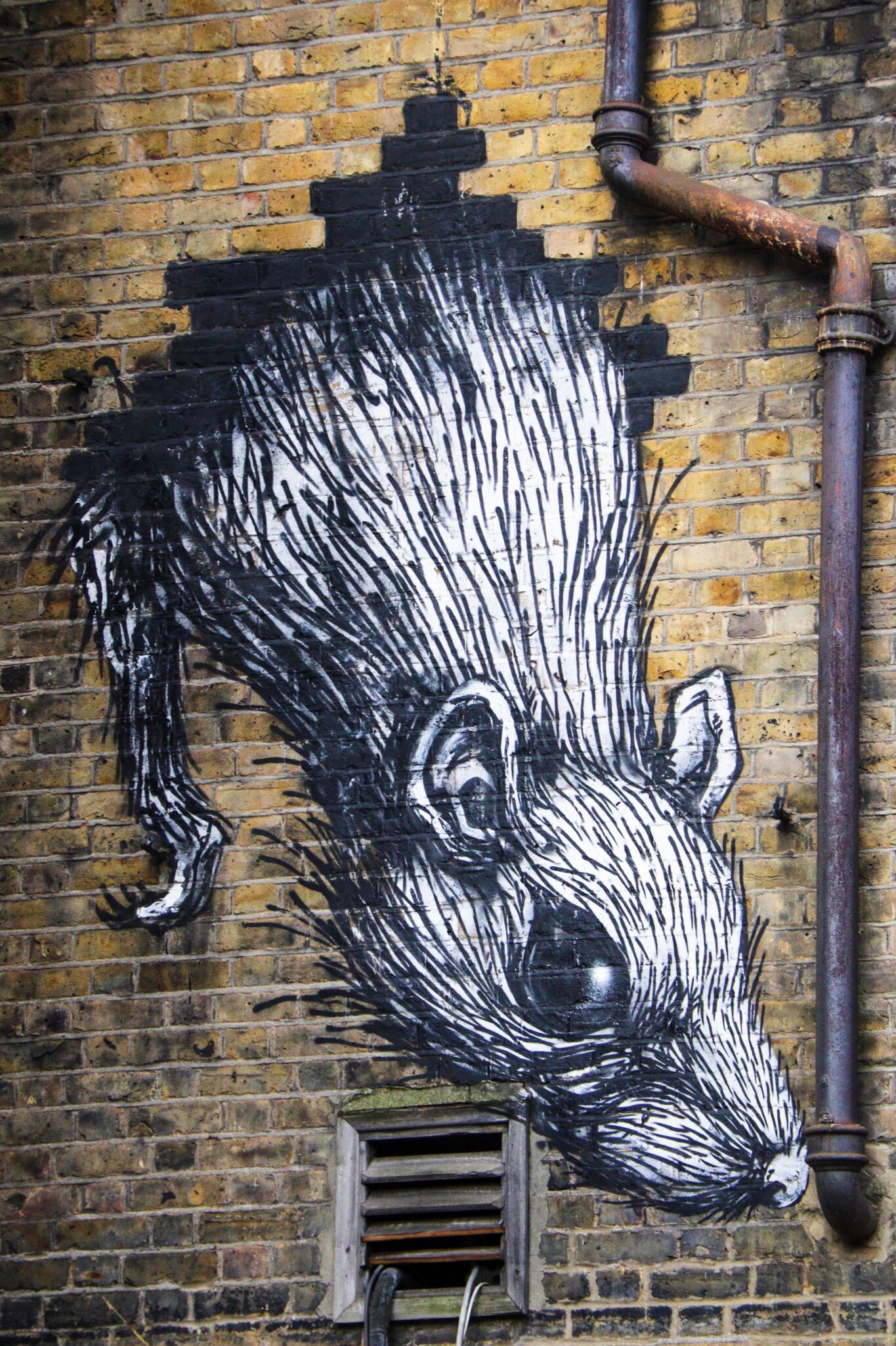 What Does A Rat Mean Spiritually? Uncover The Mysteries - d647f3l