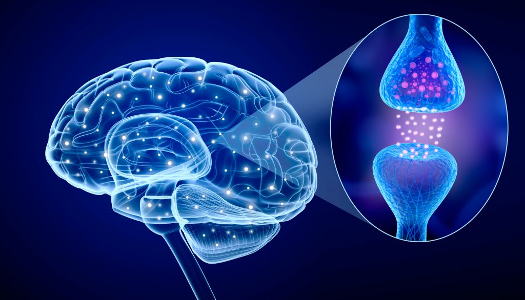 An abstract network of glowing blue and purple lines representing neural pathways.