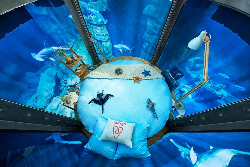 An image of the Shark Aquarium