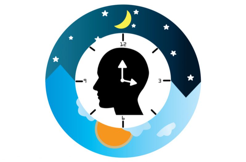 A diagram showcasing the 24 hour clock as a way to show circadian rhythm