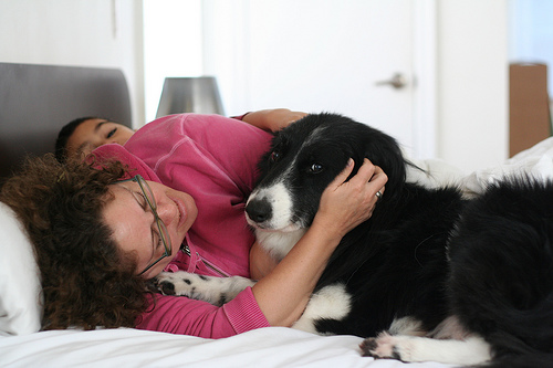 pets in bed sleep