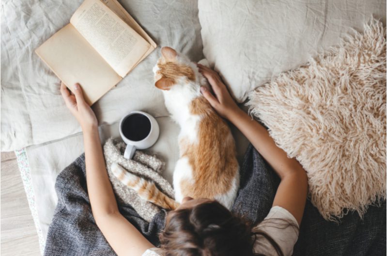 woman with warm tea, journal and a cat to show hygge lifestyle