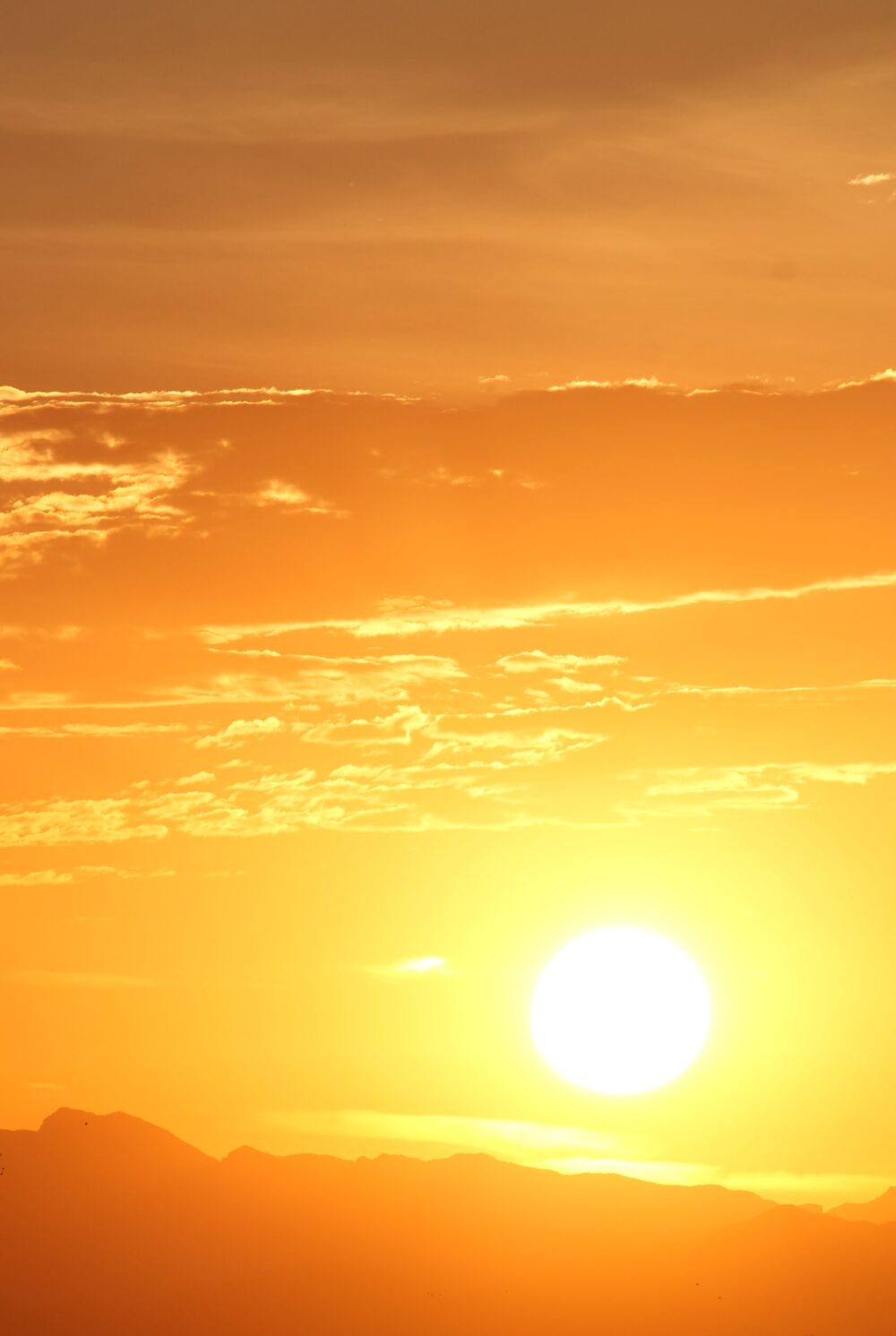 summer sun