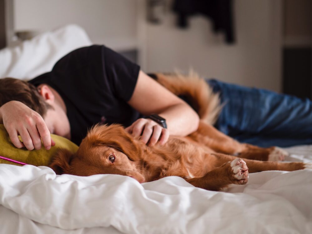 Man asleep with dog
