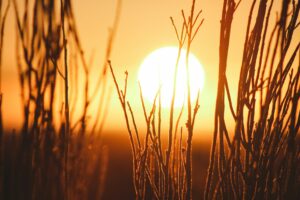 A sunrise