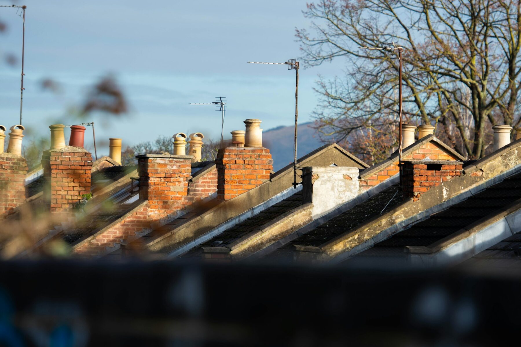 Roofs of English houses