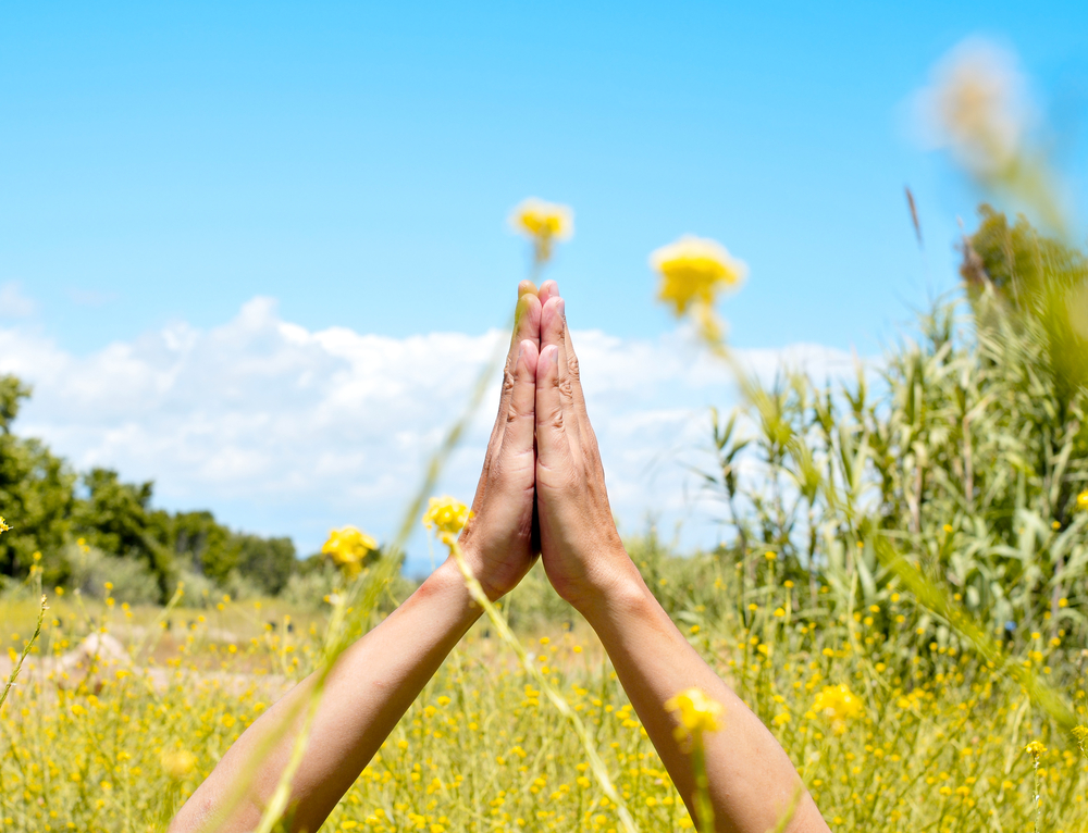 Prayer hands in a meadow