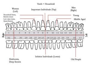 A chart of teeth, showing the different meanings behind them in dreams.
