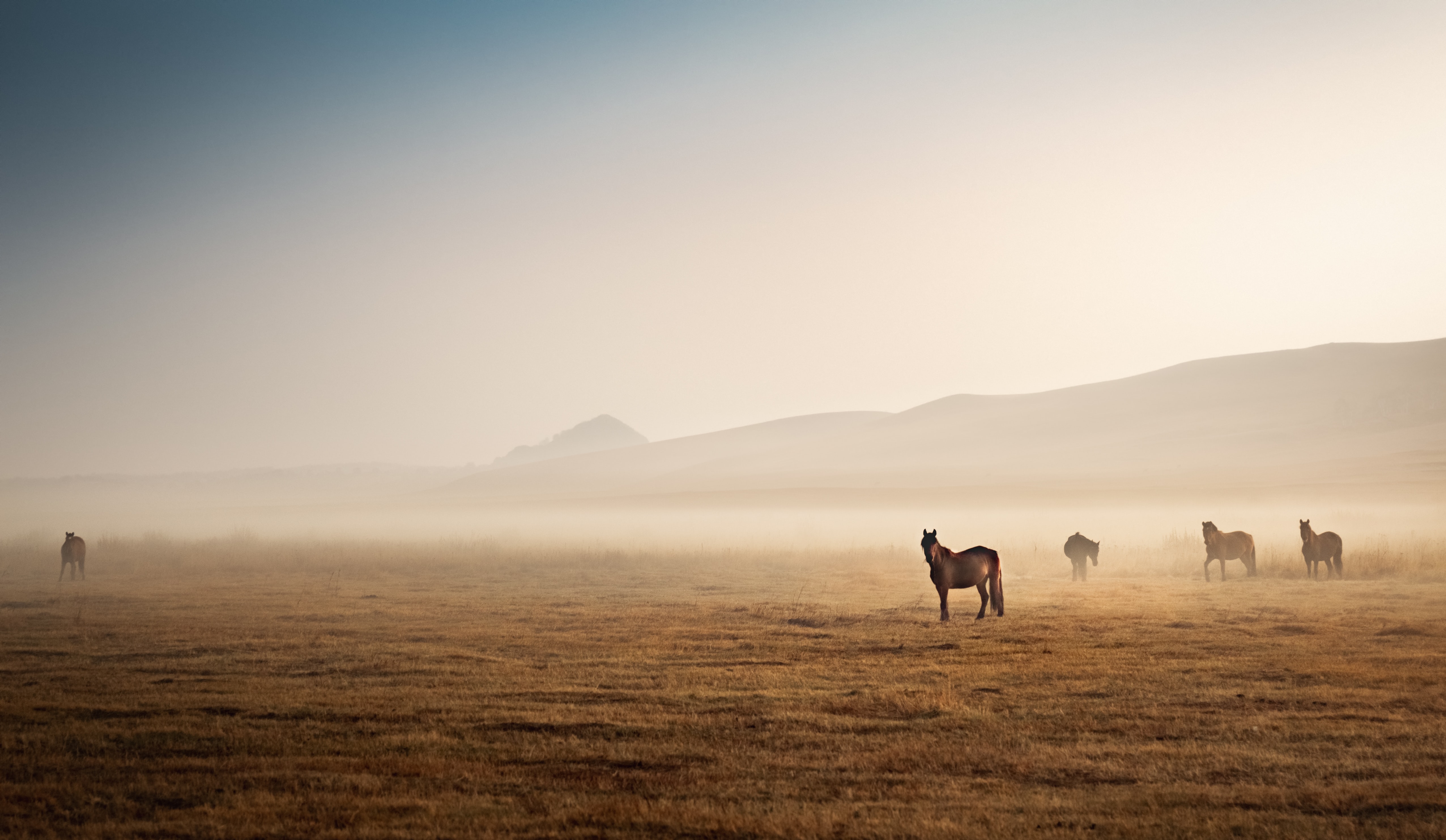 horse in distance with mountains in background